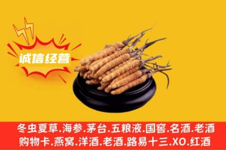 崇州市回收冬虫夏草